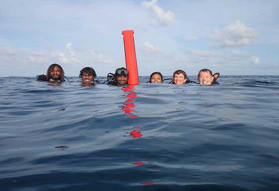A survey team